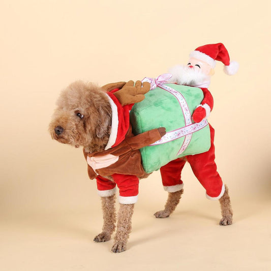 Santa Claus gift box turned into a pet suit
