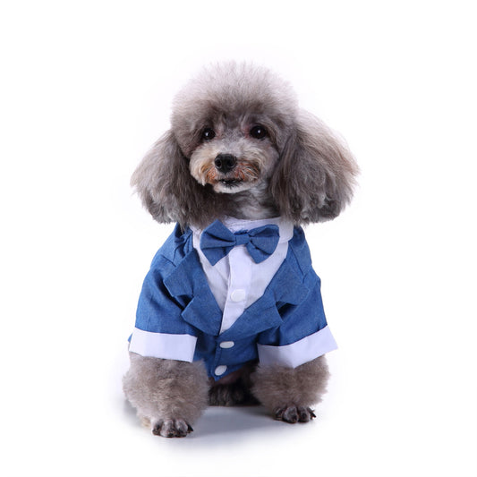 Pet dog suit
