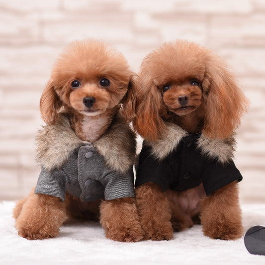 Winter dog clothes